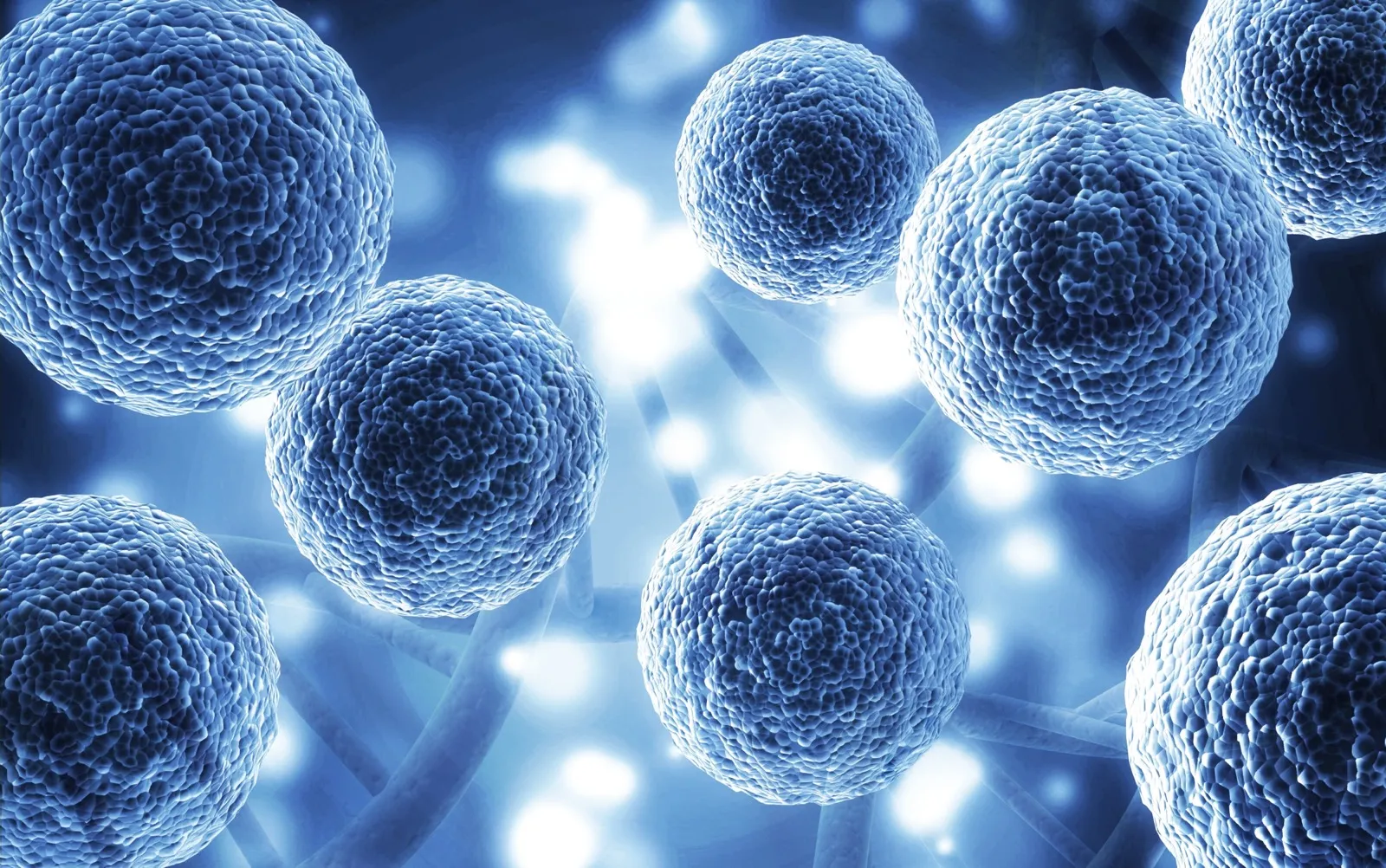 Biological cells representing the mitochondrial science behind MOTS-c peptide therapy at Rewind Anti-Aging Miami