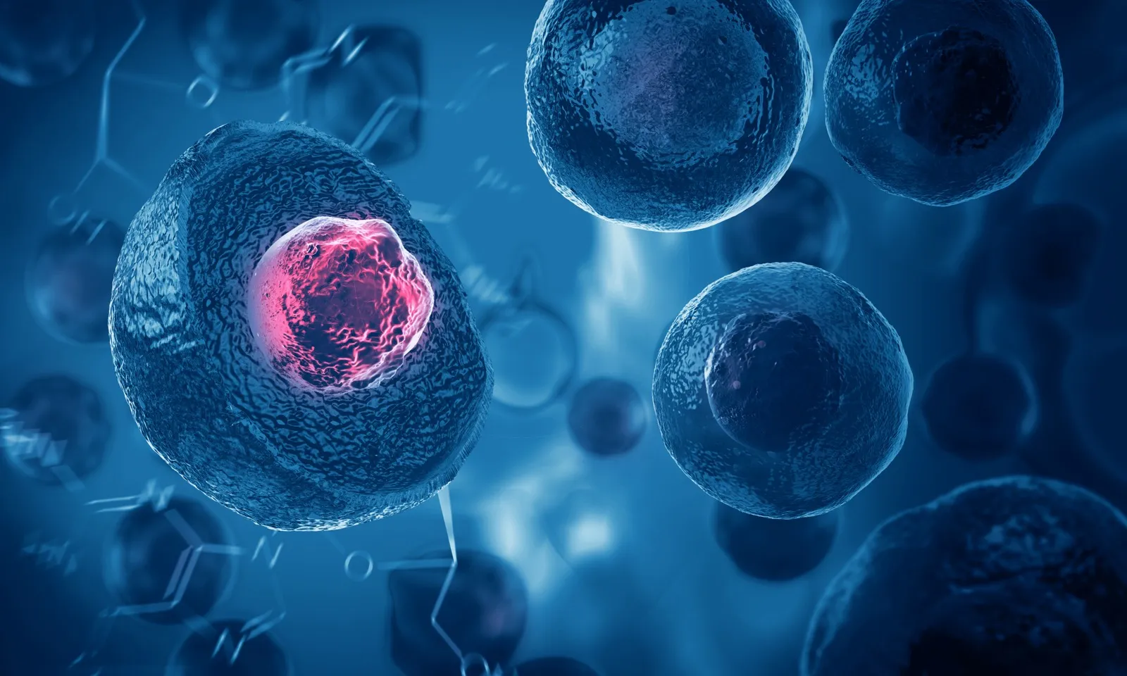 Red cellular nuclei representing the biological science behind ipamorelin peptide therapy at Rewind Anti-Aging Miami