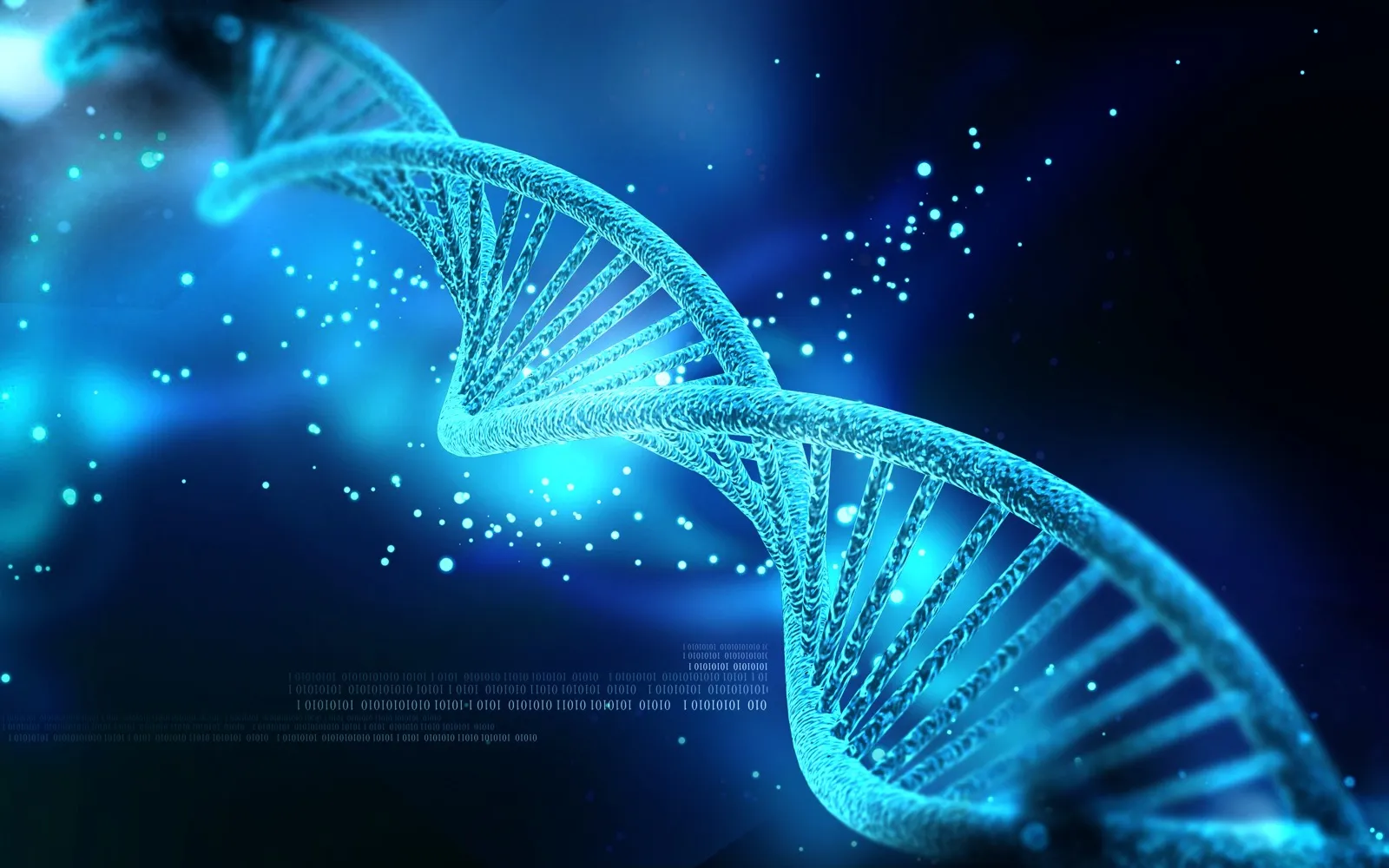 BPC-157 and Testosterone: What the Research Says