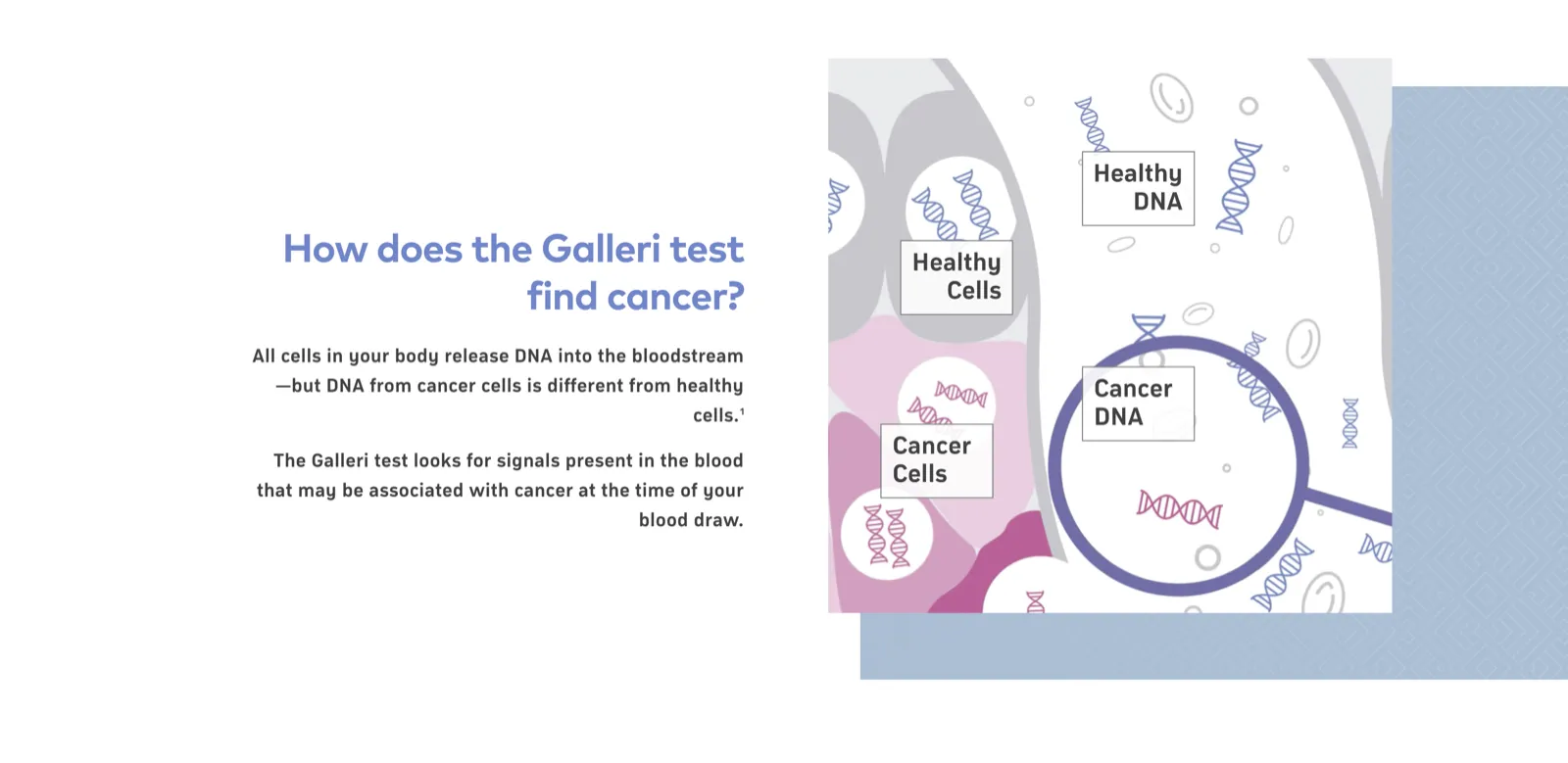 How Galleri detects cancer — healthy versus cancer cells shedding DNA into the bloodstream