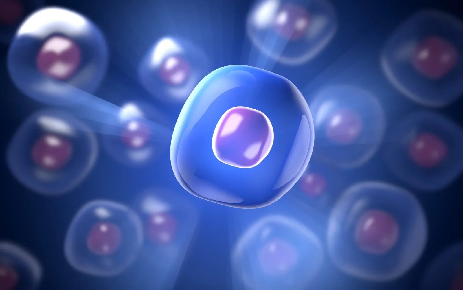 Stem cells with glowing nuclei representing Thymullin immune peptide therapy at Rewind Anti-Aging Miami